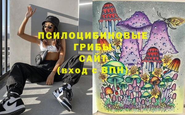кокаин перу Ладушкин