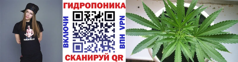 Купить закладки  Беломорск  Бошки Шишки марихуана 